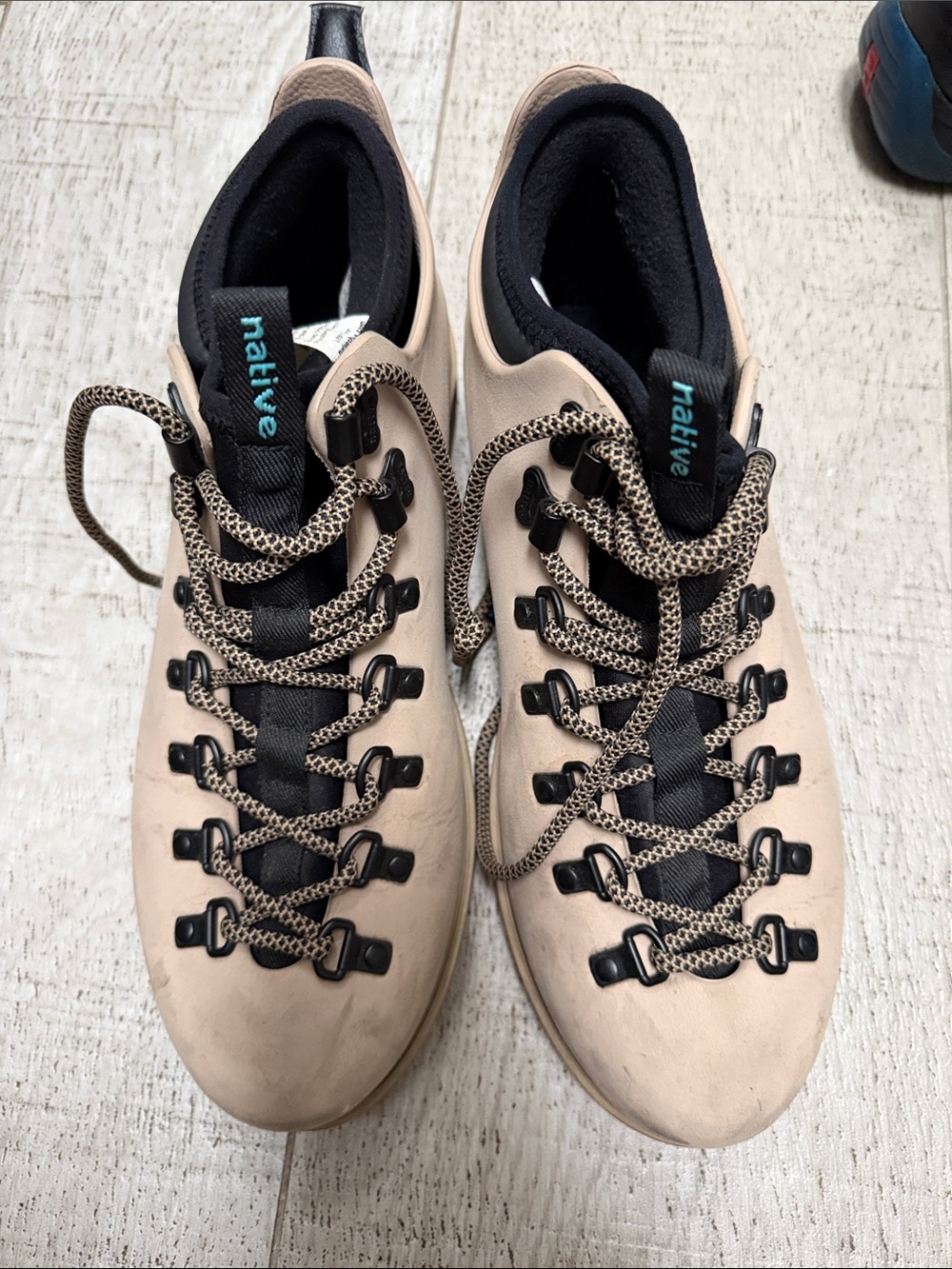 Native Men’s Sneakers in Beige with Black Accents